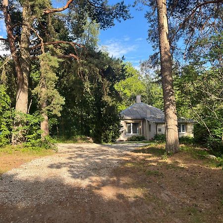 Family House "Sea Side Apartments" Salacgrīva Eksteriør billede